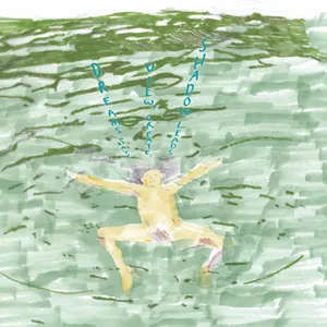 Dreams say, view, create, shadow leads